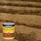 Minwax Wood Finish Semi-Transparent Early American Oil-Based Penetrating Wood Stain 1 gal 71008000 - alternate 1